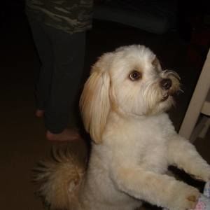 Meet your Posher, Sandra